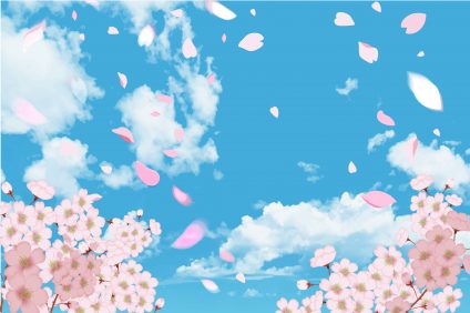 黒板アート 桜の描き方 卒業する君たちへ感動の作品を贈ろう 暮らしの情報局