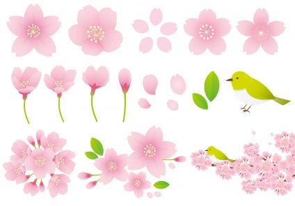 黒板アート 桜の描き方 卒業する君たちへ感動の作品を贈ろう