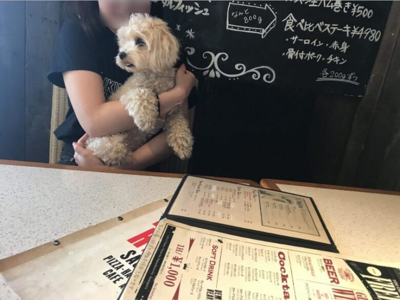 犬と一緒にランチが食べれる相模原のデモデヘブンがお洒落すぎる 暮らしの情報局 犬と一緒にランチが食べれる相模原のデモデヘブンがお洒落すぎる 暮らしの情報局