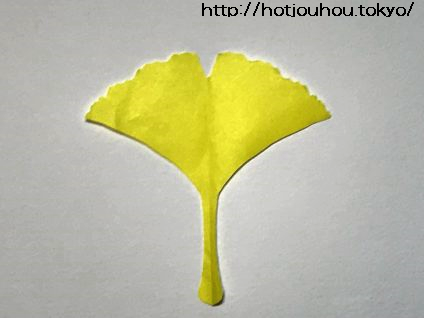 折り紙でイチョウの葉の切り方を紹介 落ち葉の銀杏にそっくりすぎ 暮らしの情報局