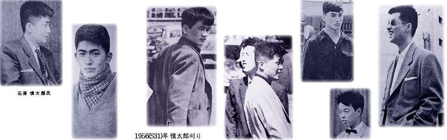太陽族